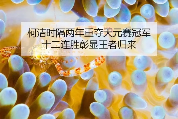 ke-jie-shi-ge-liang-nian-zhong-duo-tian-yuan-sai-guan-jun-shi-er-lian-sheng-zhang-xian-wang-zhe-gui-lai-3-358.jpg