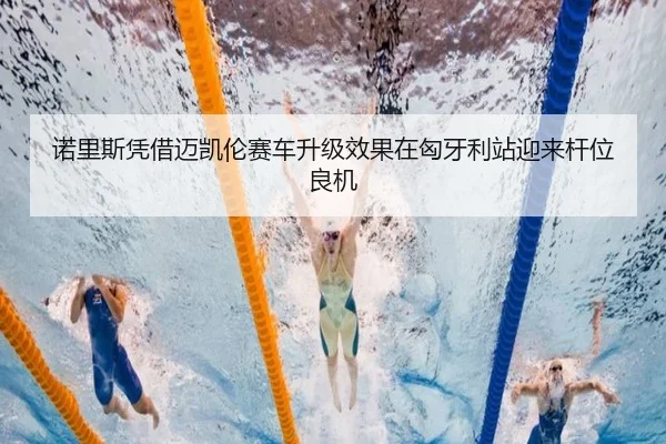 nuo-li-si-ping-jie-mai-kai-lun-sai-che-sheng-ji-xiao-guo-zai-xiong-ya-li-zhan-ying-lai-gan-wei-liang-ji-3-980.jpg