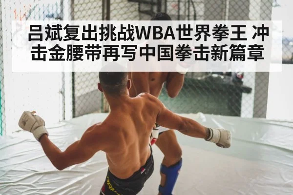 boxing fight