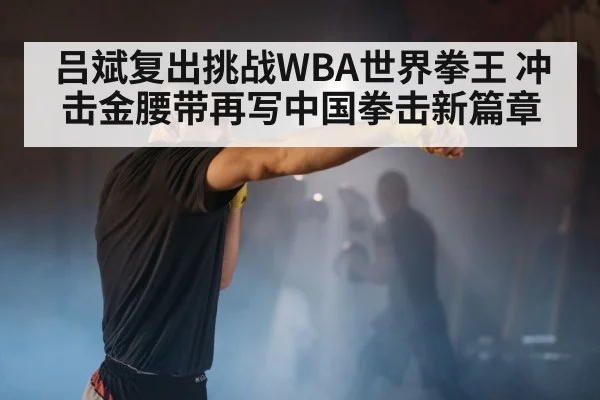 boxer punching