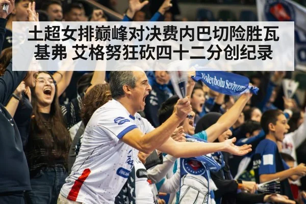volleyball arena crowd
